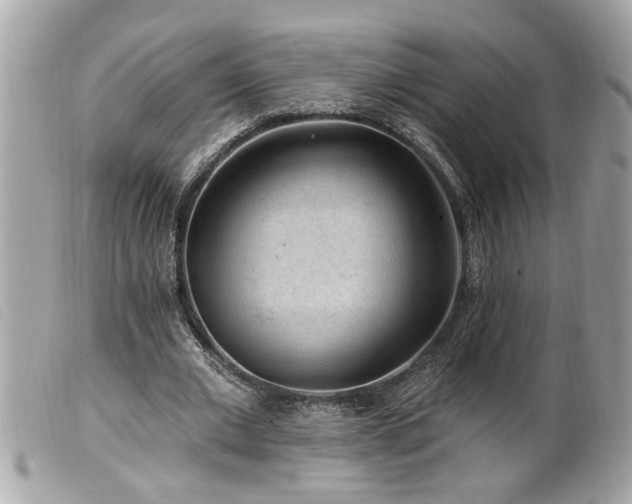 X0000100210677200805301326