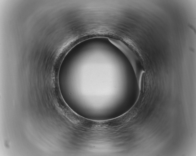 X0000100210680200805301326