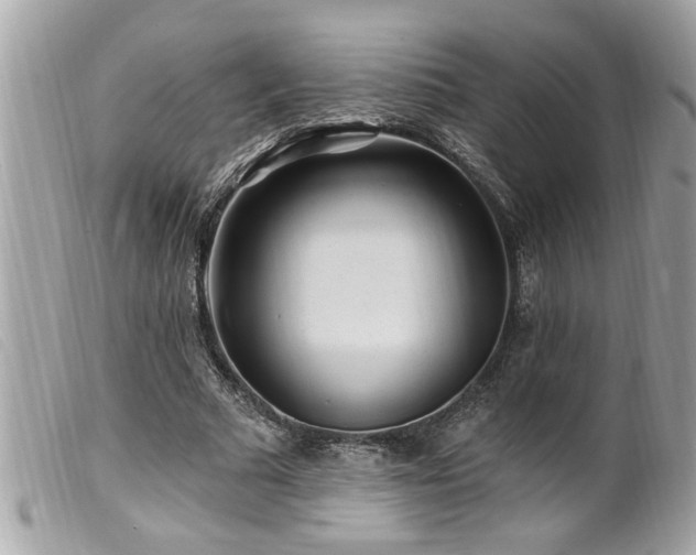 X0000100210681200805301326