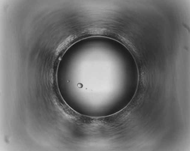 X0000100210682200805301326