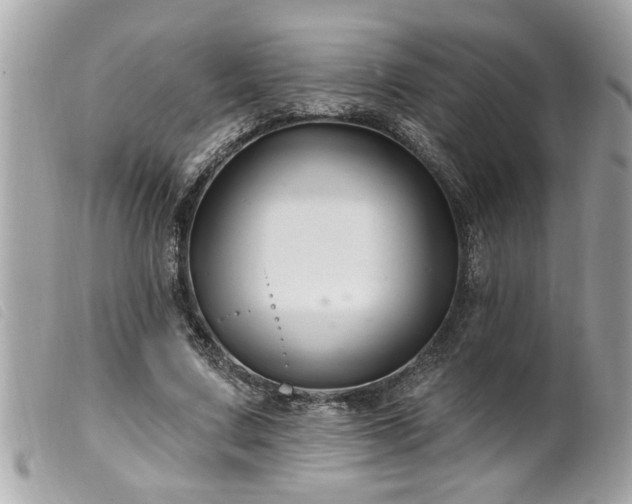 X0000100210683200805301326