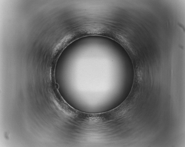X0000100210686200805301326