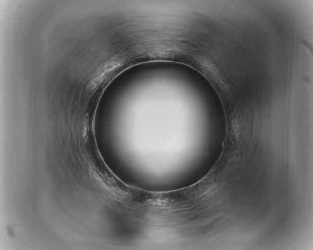 X0000100210687200805301326