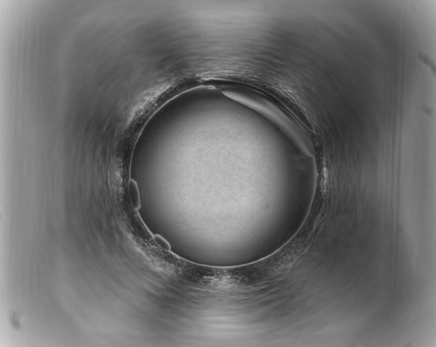 X0000100210688200805301326