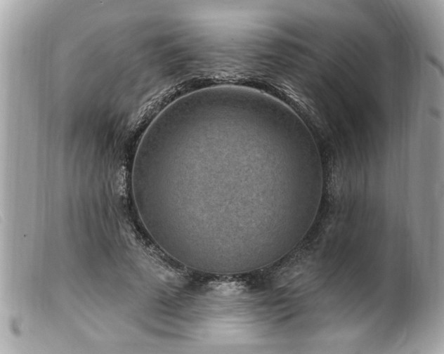 X0000100210689200805301326