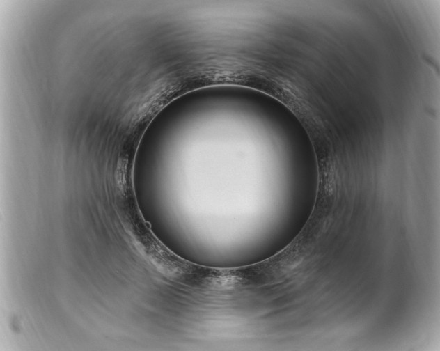 X0000100210695200805301326