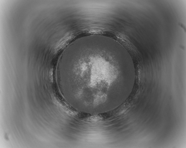 X0000100210696200805301326