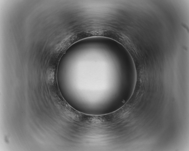 X0000100210697200805301326