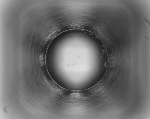 X0000100210699200805301326