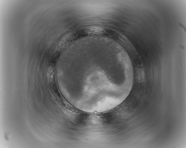 X0000100210701200805301326