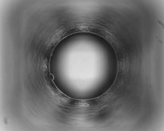 X0000100210702200805301326