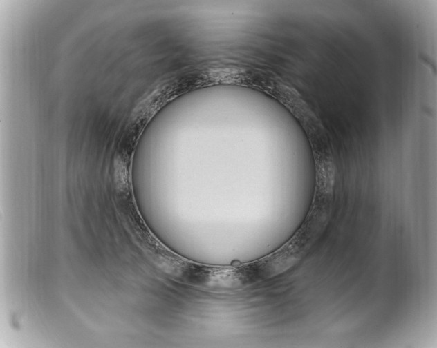 X0000100210705200805301326