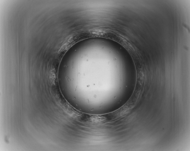 X0000100210707200805301326