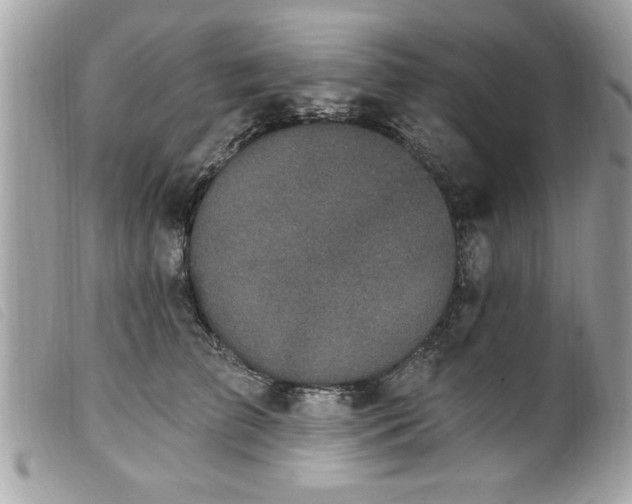 X0000100210709200805301326