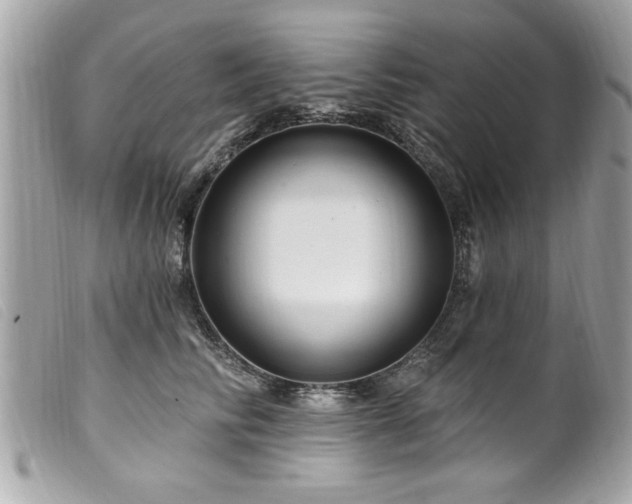 X0000100210710200805301326