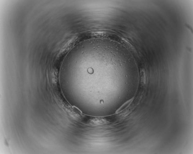 X0000100210712200805301326