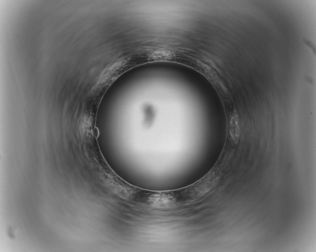 X0000100210714200805301326