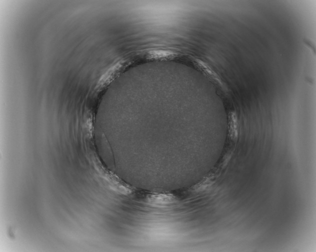 X0000100210716200805301326