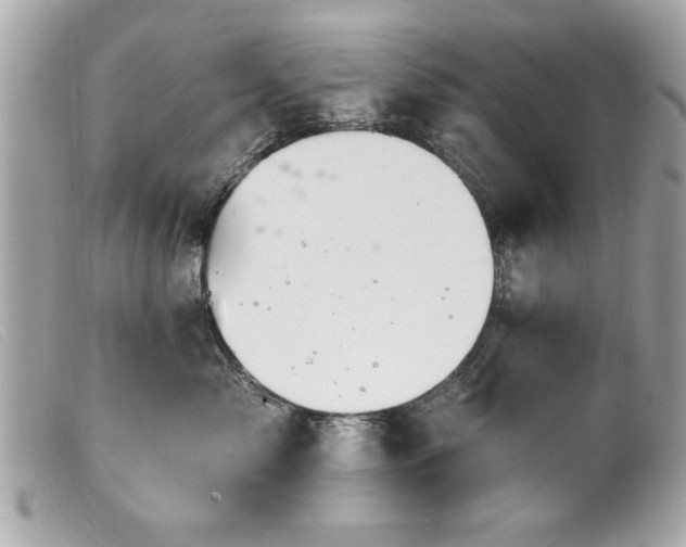 X0000100210717200805301326