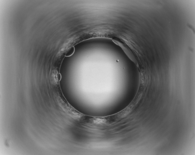 X0000100210718200805301326