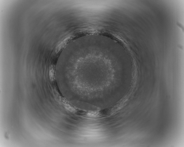 X0000100210720200805301326