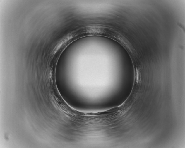 X0000100210723200805301325