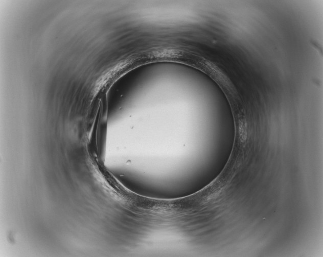 X0000100210725200805301325