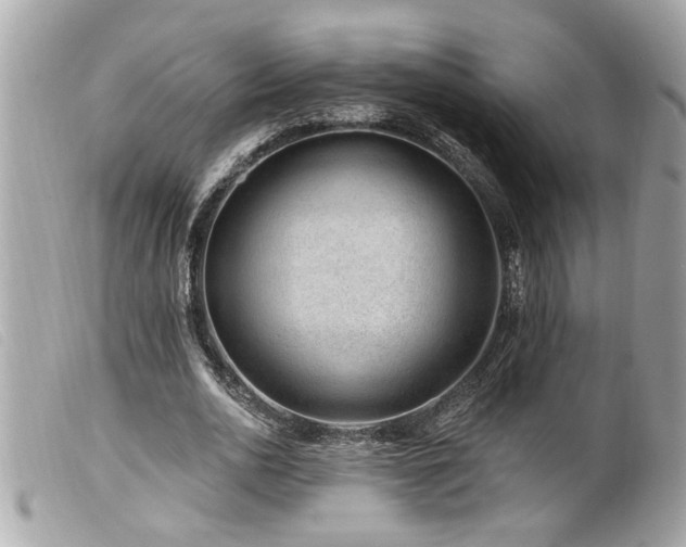 X0000100210726200805301325