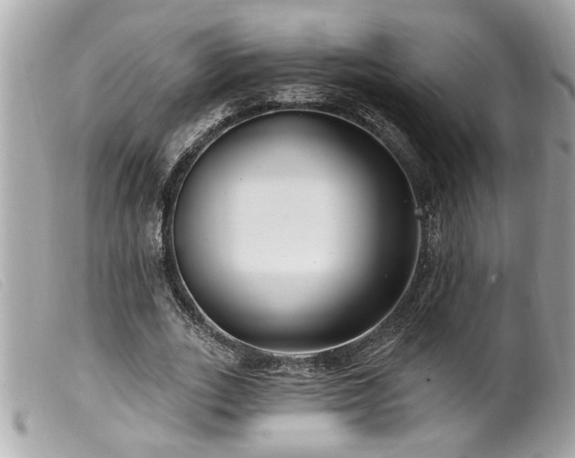 X0000100210727200805301325
