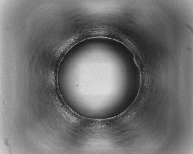 X0000100210729200805301325