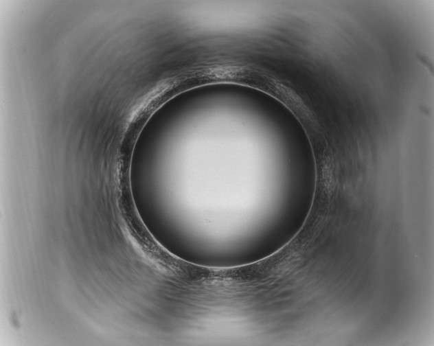 X0000100210730200805301325