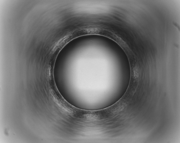 X0000100210733200805301325