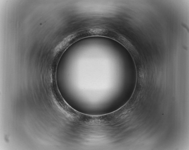 X0000100210734200805301325