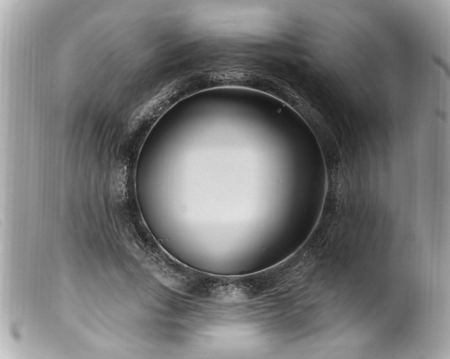 X0000100210735200805301325