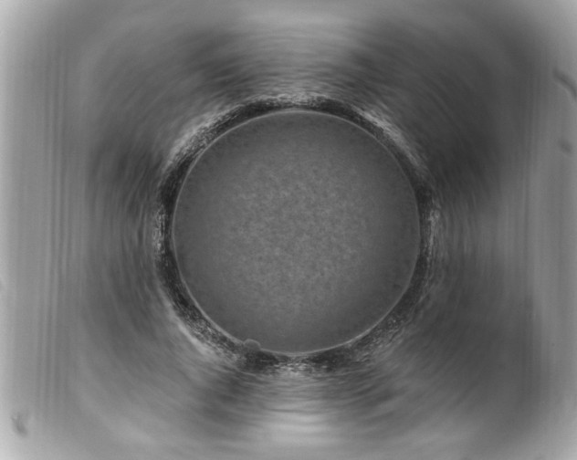 X0000100210736200805301325