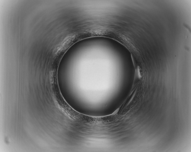 X0000100210738200805301325