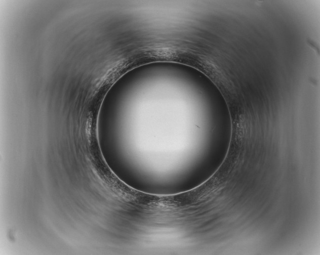 X0000100210739200805301325