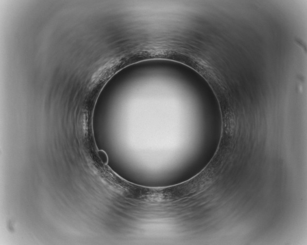 X0000100210740200805301325