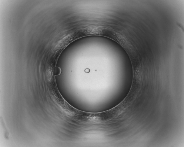 X0000100210741200805301325