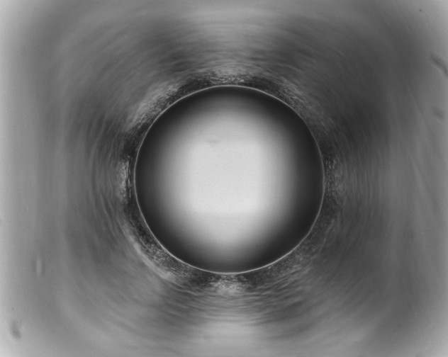 X0000100210742200805301325