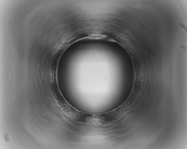 X0000100210743200805301325
