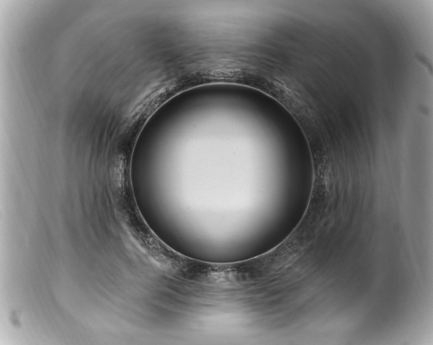 X0000100210744200805301325