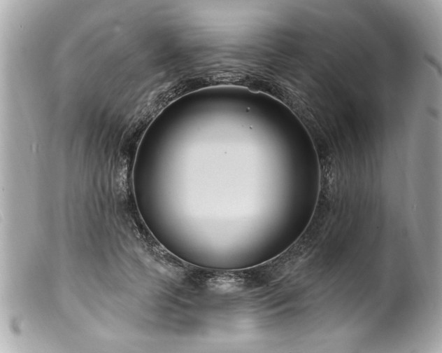 X0000100210745200805301325