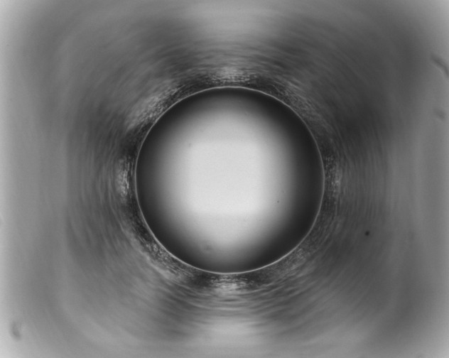 X0000100210746200805301325