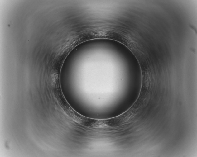 X0000100210747200805301325