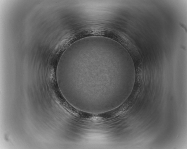 X0000100210748200805301325