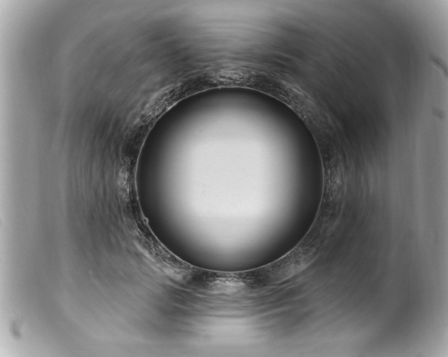 X0000100210749200805301325
