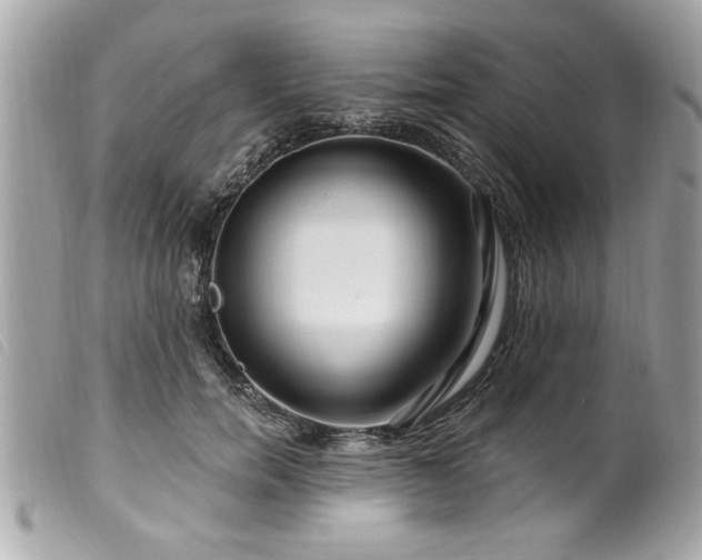 X0000100210750200805301325
