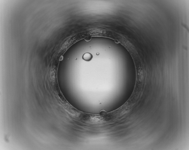 X0000100210753200805301325