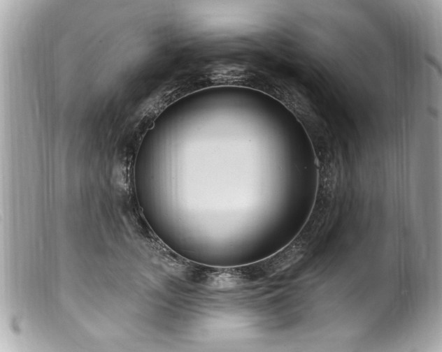 X0000100210755200805301325